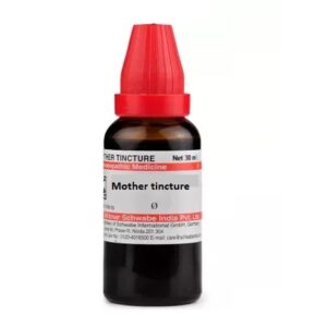 Cytisus scoparius (Spartium scoparium) Mother Tincture