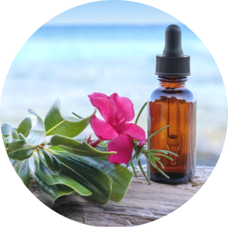 Bach Flower Remedies